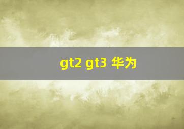 gt2 gt3 华为